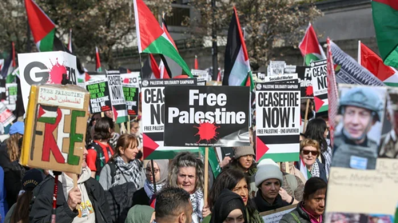 بلجيكا تعتزم الاعتراف بدولة فلسطين وتفرض عقوبات ضدّ الإحتلال
